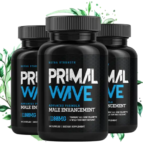 Primal Wave official website image